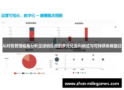 从财务管理视角分析足球俱乐部的多元化盈利模式与可持续发展路径