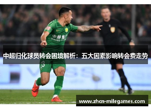 中超归化球员转会困境解析:五大因素影响转会费走势 中超归化球员转会困境解析:五大因素影响转会费走势