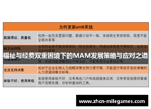 福祉与经费双重困境下的MAM发展策略与应对之道 福祉与经费双重困境下的MAM发展策略与应对之道