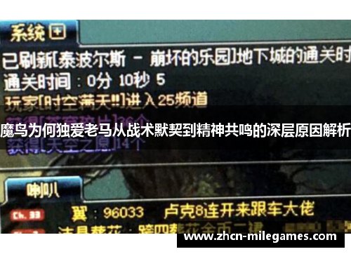 魔鸟为何独爱老马从战术默契到精神共鸣的深层原因解析