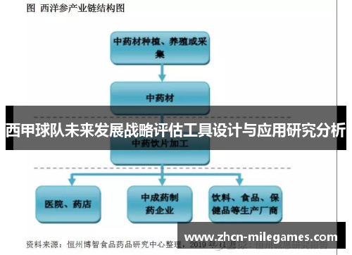 西甲球队未来发展战略评估工具设计与应用研究分析